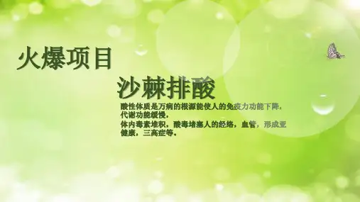 沙棘排酸项目讲解