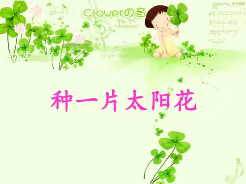 四年级下册语文优秀课件-3.2《种一片太阳花》北师大版 (共21张PPT)
