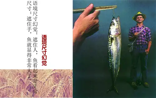 视错觉不能完全相信你眼睛.ppt