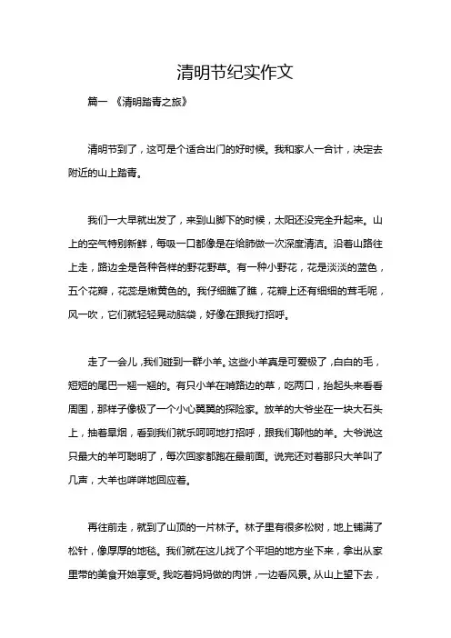 清明节纪实作文