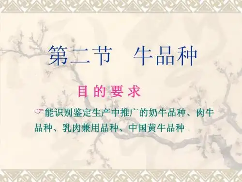 第二节   牛品种
