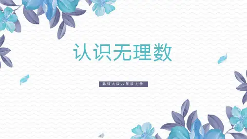 新北师大版数学八年级上册《认识无理数》精品教学课件