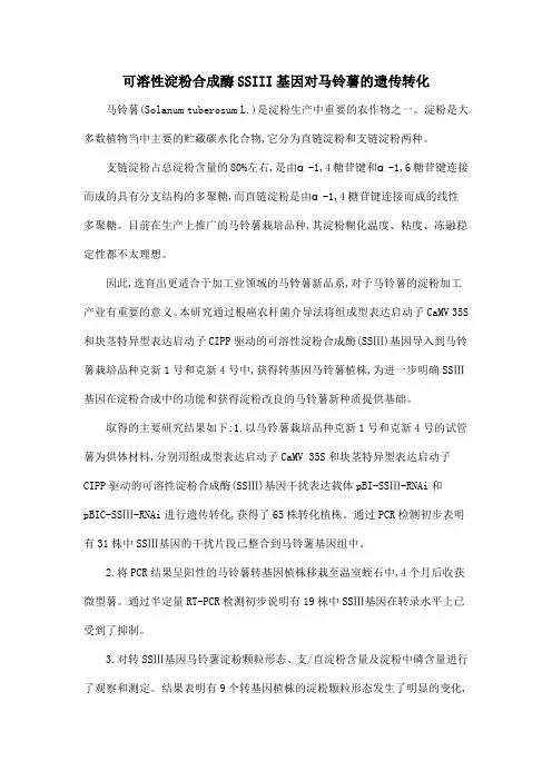 可溶性淀粉合成酶SSIII基因对马铃薯的遗传转化