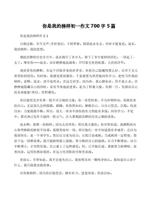你是我的榜样初一作文700字5篇