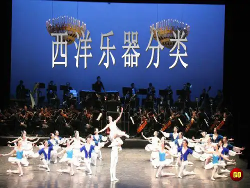 西洋乐器分类