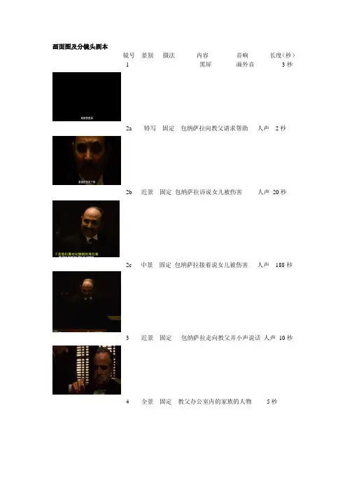 画面图及分镜头剧本