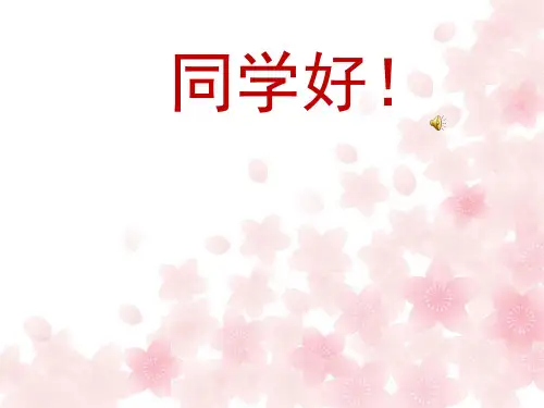成语-四年级(课堂PPT)