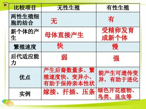 昆虫的生殖和发育市公开课一等奖课件名师大赛获奖课件
