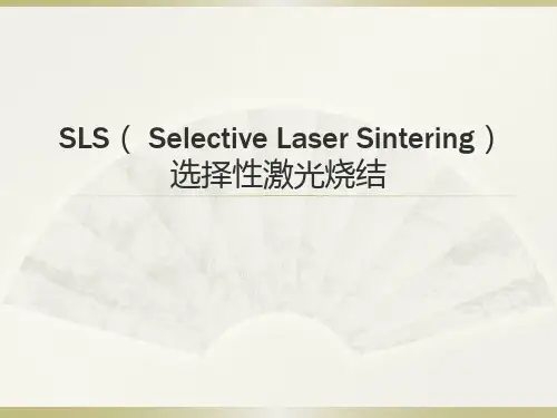 SLS( Selective Laser Sintering)
