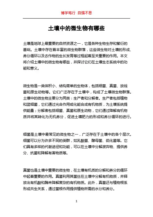 土壤中的微生物有哪些