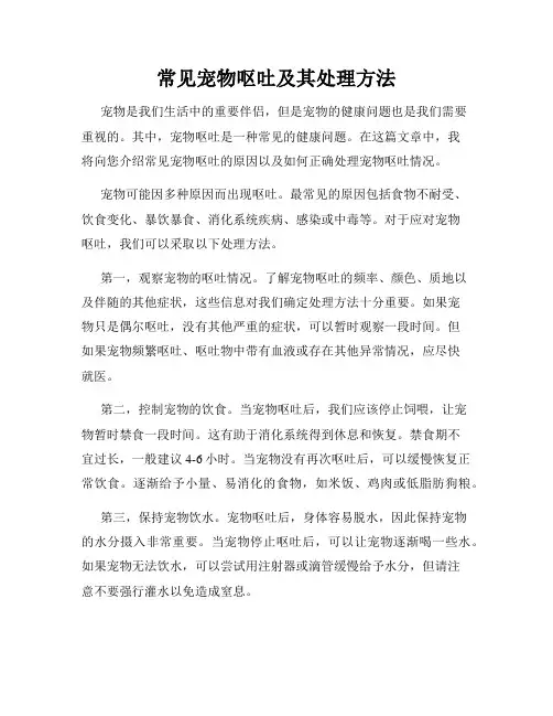 常见宠物呕吐及其处理方法
