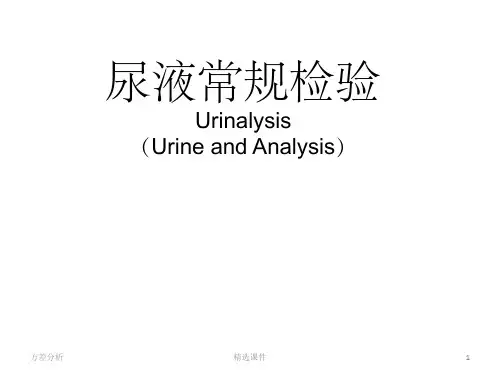 尿液常规解析ppt课件