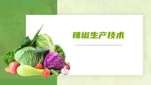 辣椒生产技术课件(共31张PPT)《蔬菜生产技术》同步教学(中国农业出版社)