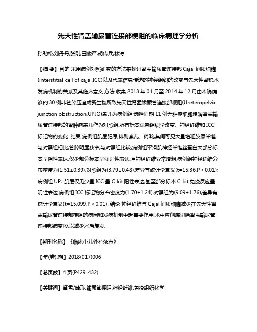 先天性肾盂输尿管连接部梗阻的临床病理学分析