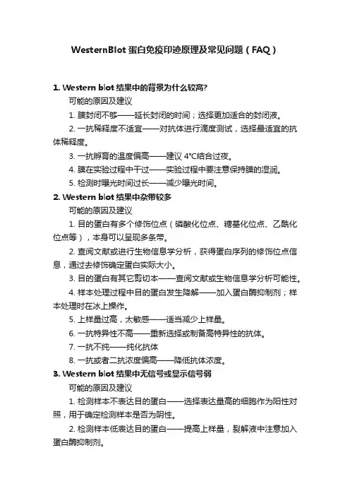 WesternBlot蛋白免疫印迹原理及常见问题（FAQ）