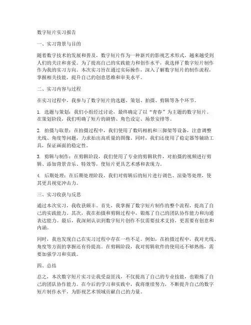 数字短片实习报告