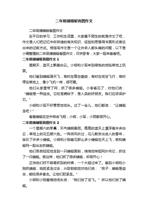 二年级捕蜻蜓看图作文