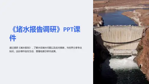 《堵水报告调研》课件