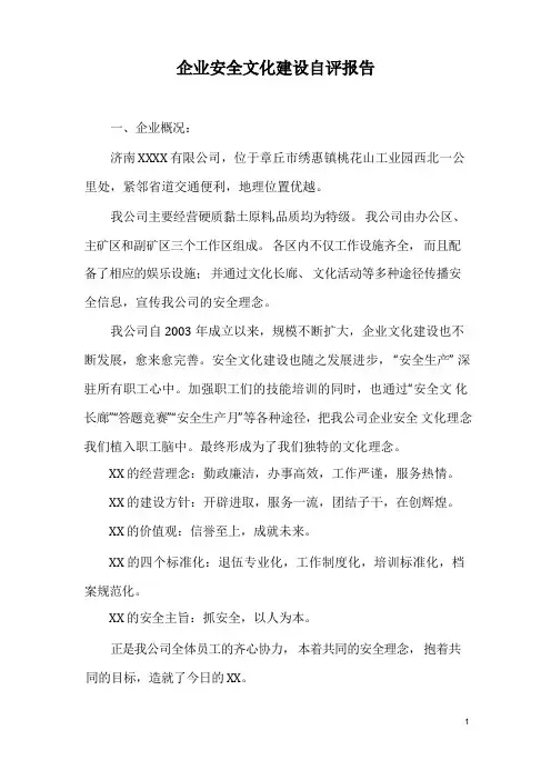 企业安全文化建设自评报告