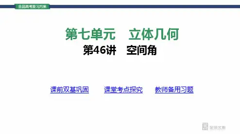 高中数学精品课件：空间角