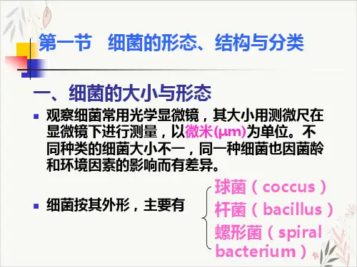 细菌形态和生理课件-PPT
