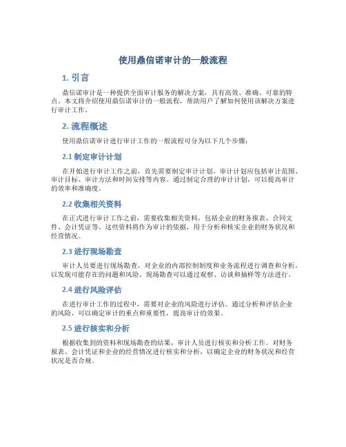 使用鼎信诺审计的一般流程