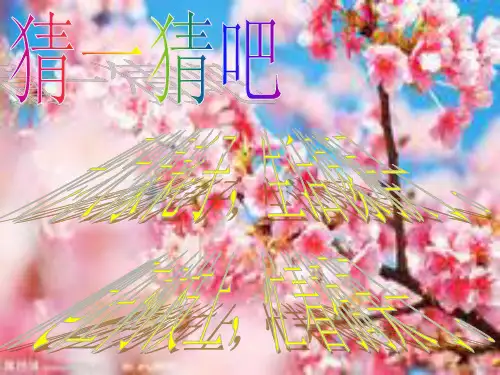 六上 22 跑进家来的松鼠PPT课件