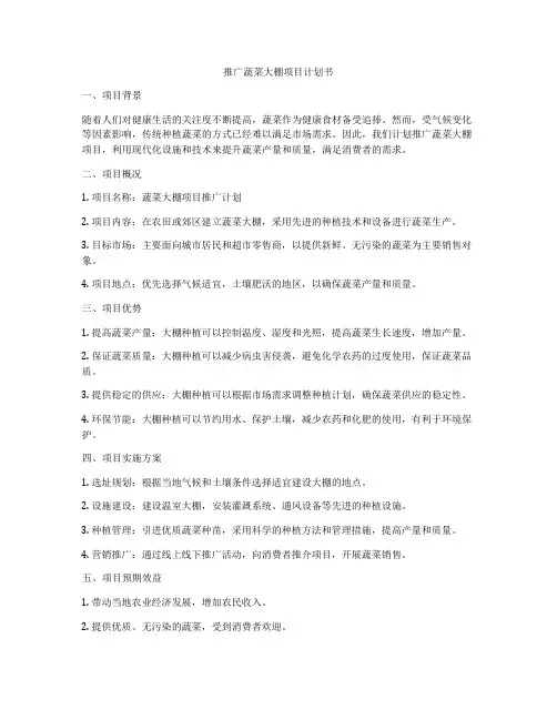 推广蔬菜大棚项目计划书