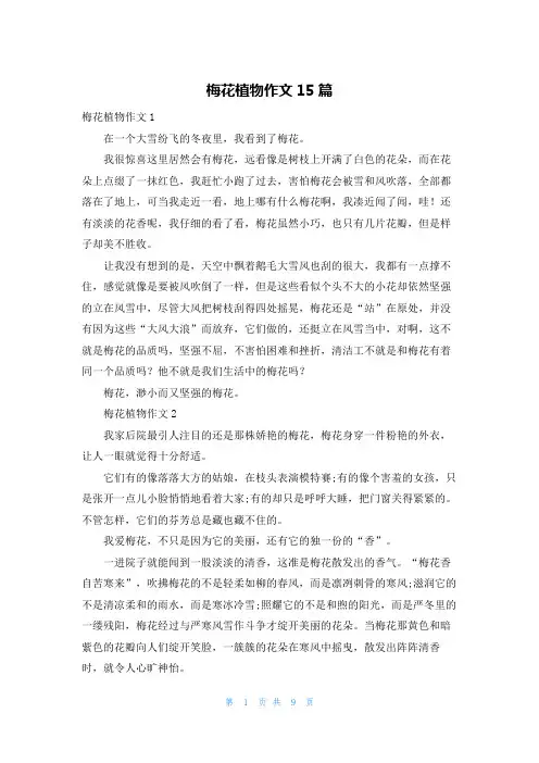 梅花植物作文15篇