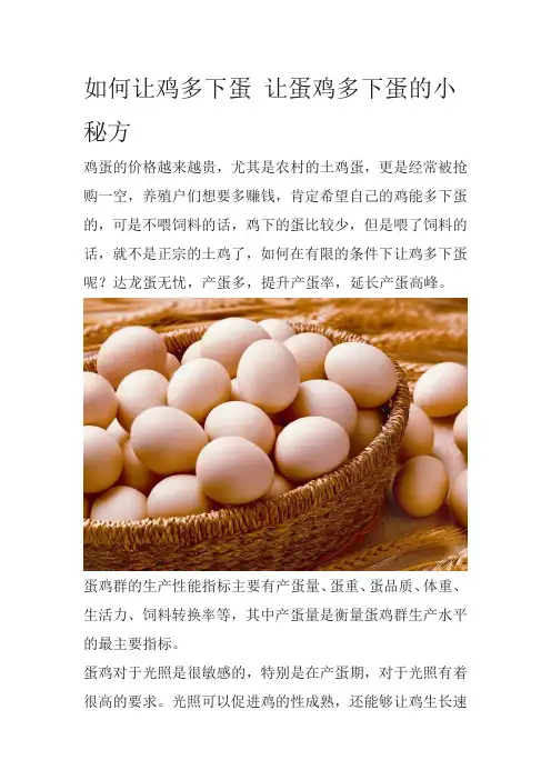 如何让鸡多下蛋 让蛋鸡多下蛋的小秘方