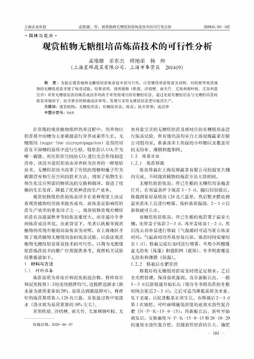 观赏植物无糖组培苗炼苗技术的可行性分析