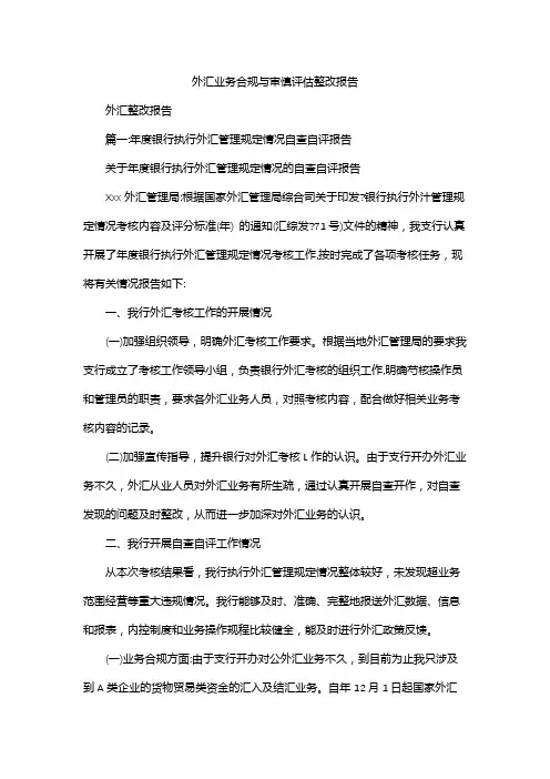外汇业务合规与审慎评估整改报告