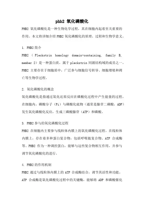 phb2 氧化磷酸化