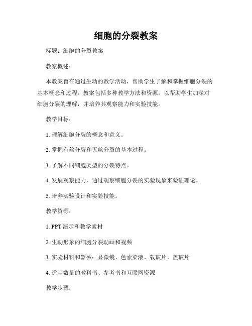 细胞的分裂教案