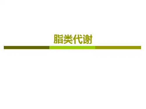 生物化学--脂类代谢