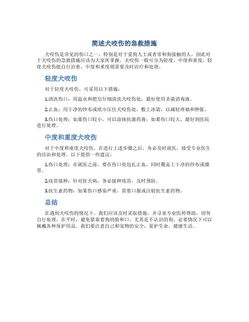 简述犬咬伤的急救措施