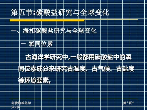 地球化学课件
