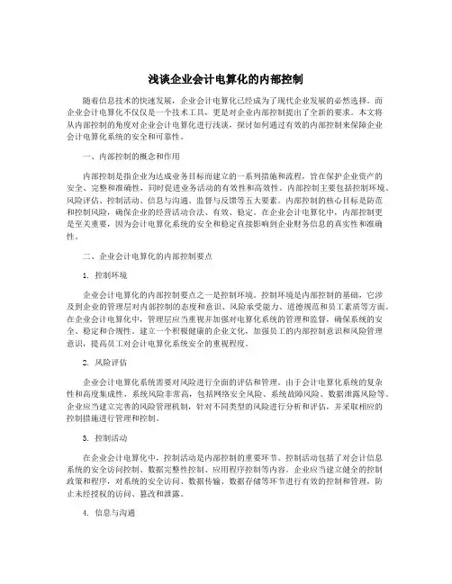 浅谈企业会计电算化的内部控制
