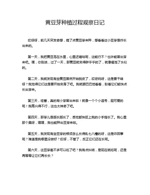 黄豆芽种植过程观察日记