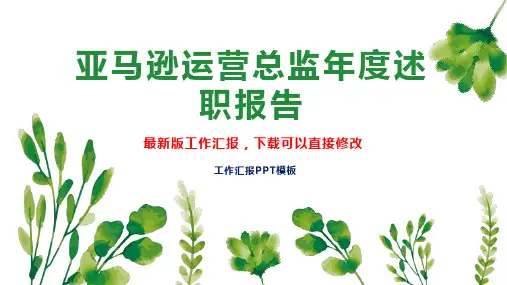亚马逊运营总监年度述职报告工作总结工作计划2PPT模板下载