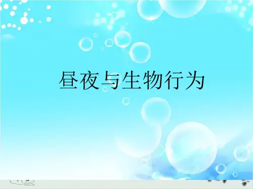 四年级上册科学课件昼夜与生物行为冀人版