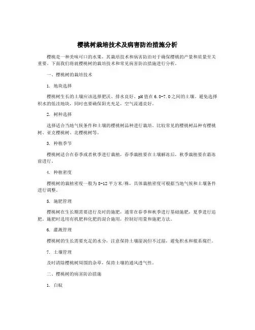 樱桃树栽培技术及病害防治措施分析