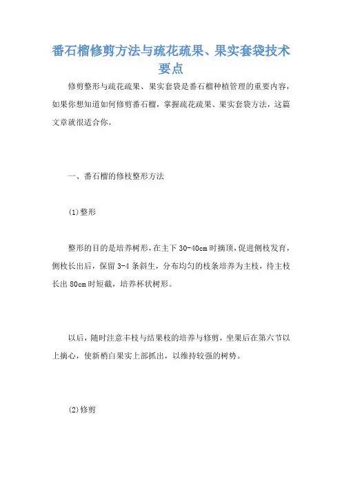 番石榴修剪方法与疏花疏果、果实套袋技术要点
