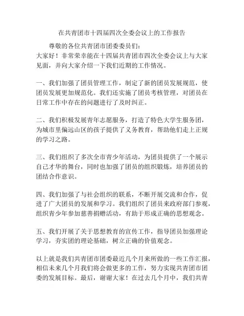 在共青团市十四届四次全委会议上的工作报告