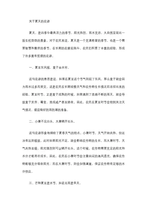 关于夏天的农谚