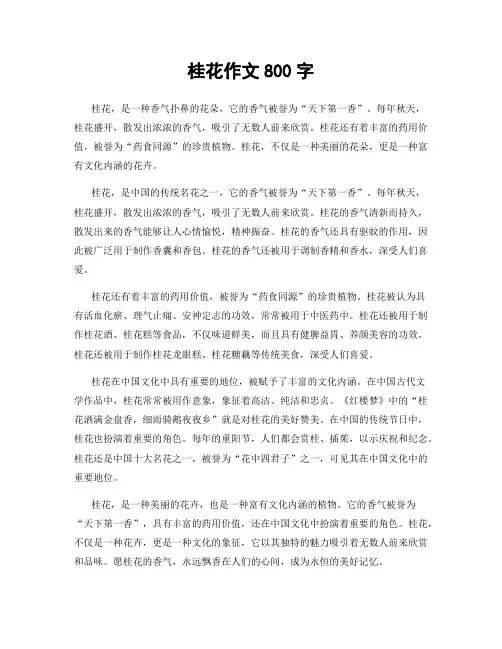 桂花作文800字