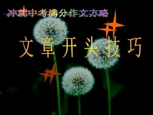 中考教学指导《作文开头技巧》课件(共32张PPT)
