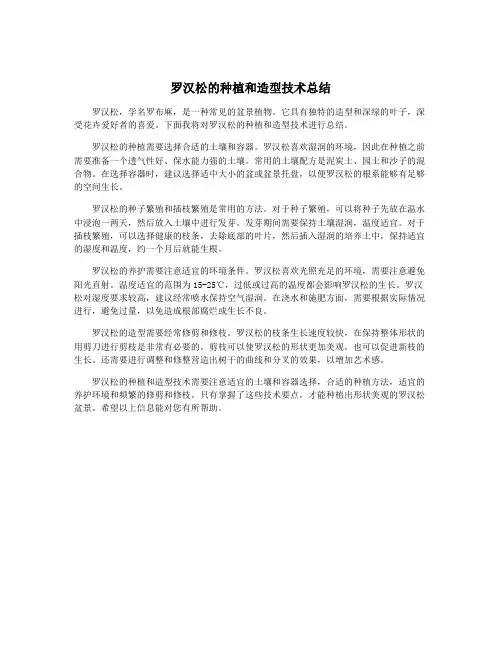 罗汉松的种植和造型技术总结