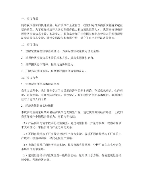 经济决策仿真实验实习报告