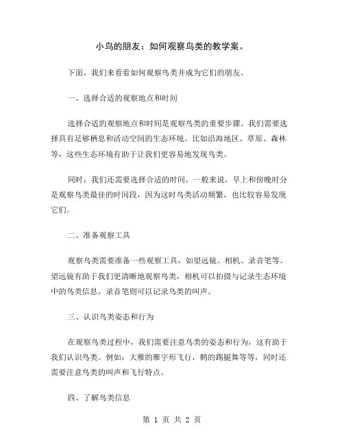 小鸟的朋友：如何观察鸟类的教学案